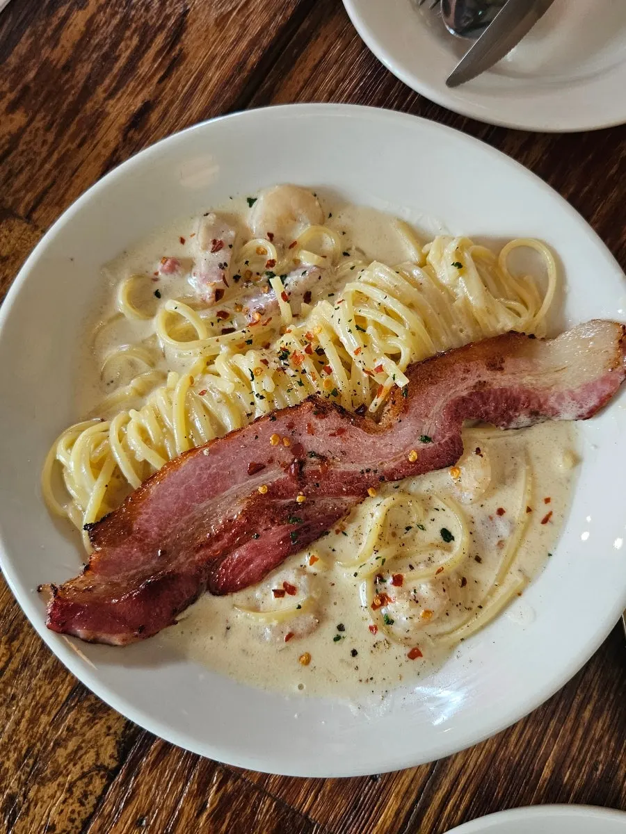 Plate of Alfredo cream pasta