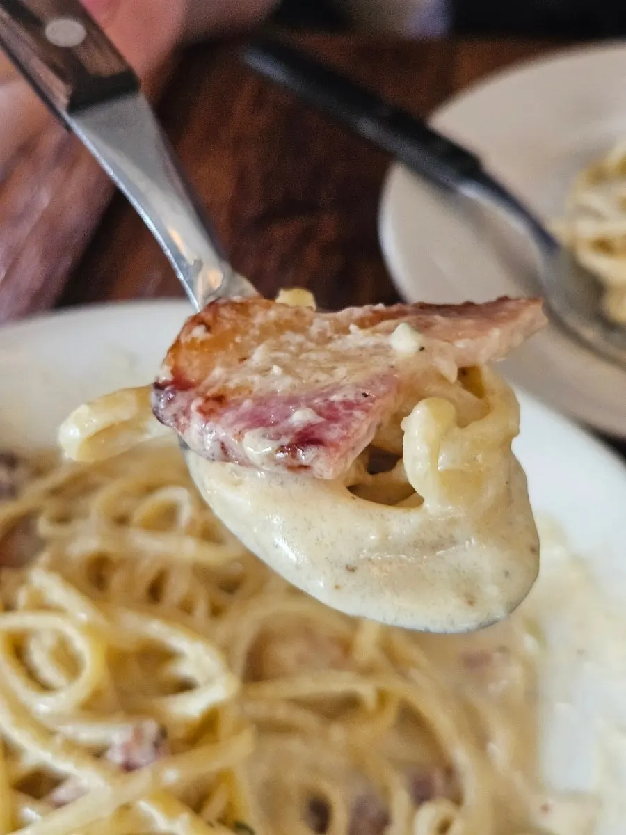 Pasta noodles coated in thick cream sauce