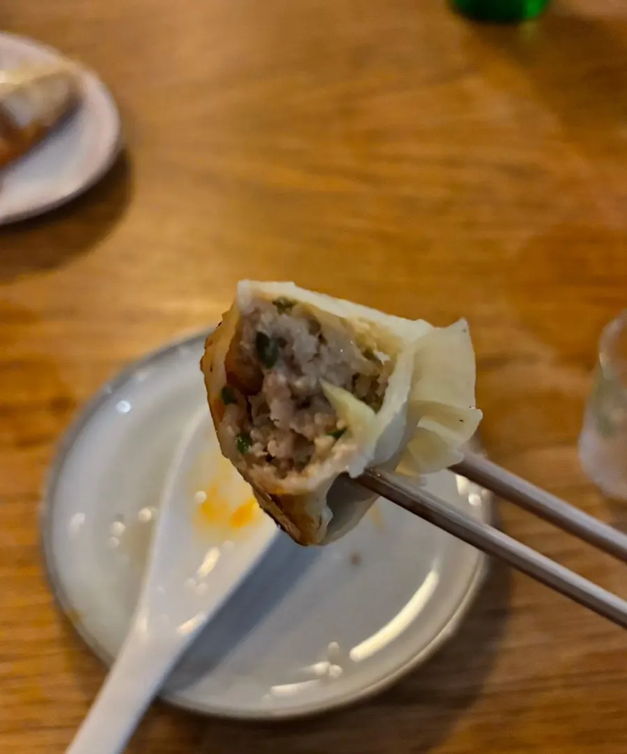 반으로 가른 교자 속 육즙