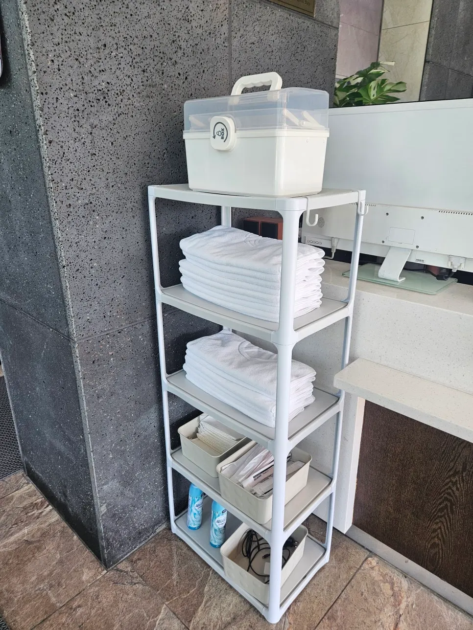 Pet supplies organized in the lounge cabinet