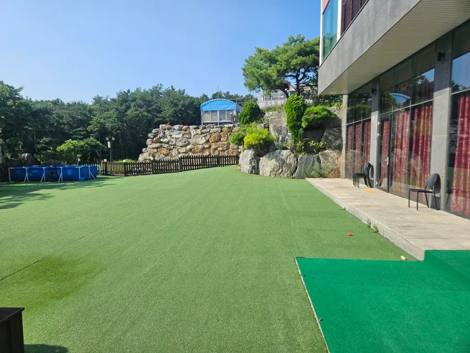 Artificial grass yard where dogs can run off leash