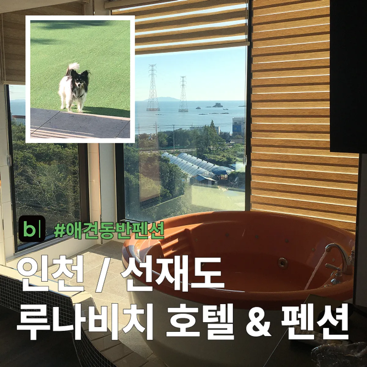 Featured photo of Luna Beach Seonjae Hotel & Pension, a dog-friendly stay on Seonjae-do