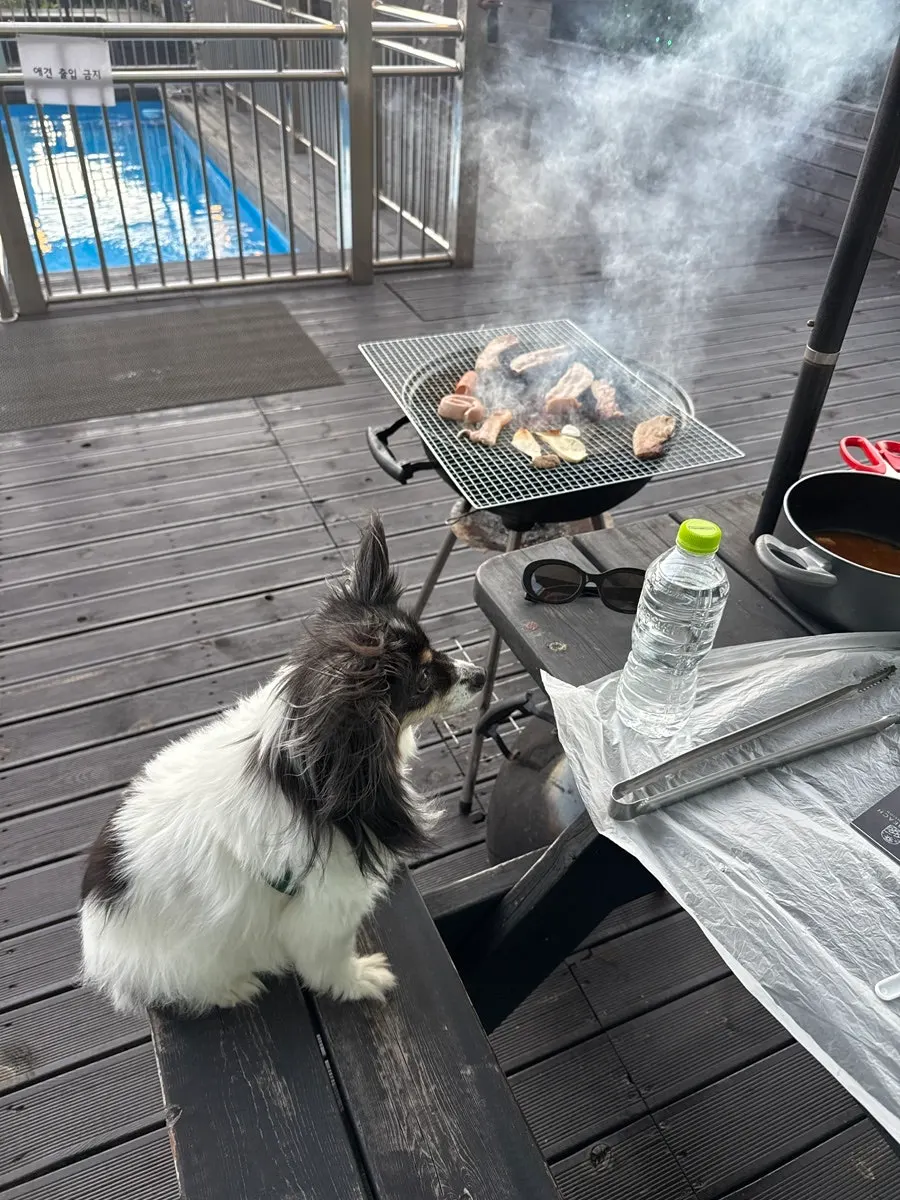 Outdoor barbecue table set up with a parasol