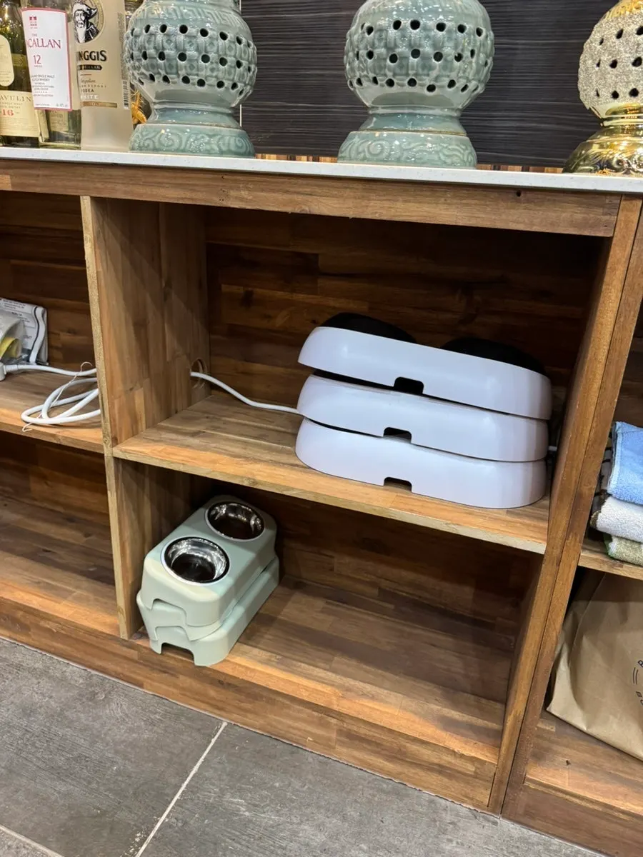 Dog bowls prepared in various sizes