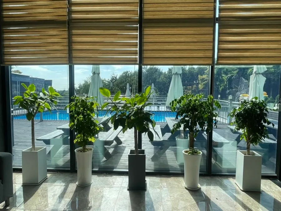 Sunlit lobby space at the pension