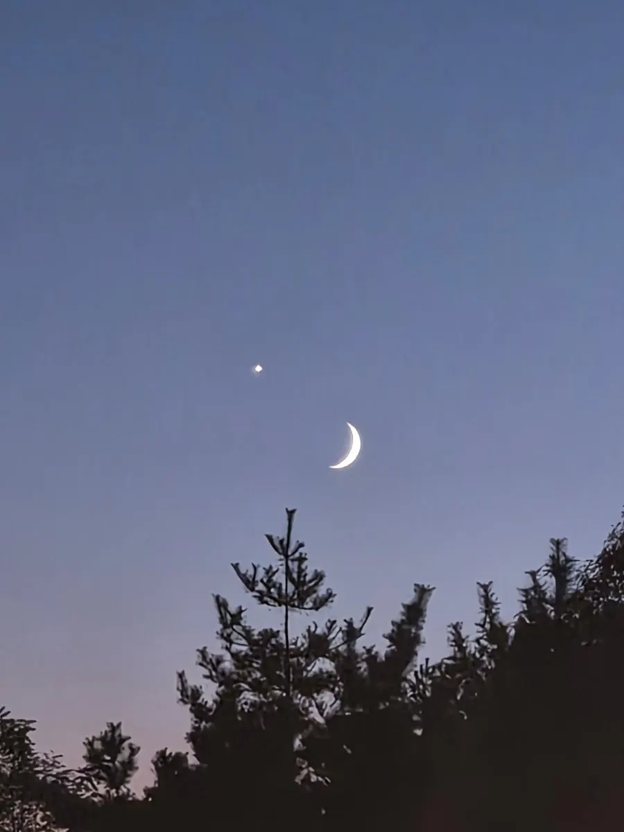 강아지가 뛰놀 수 있는 넓은 마당