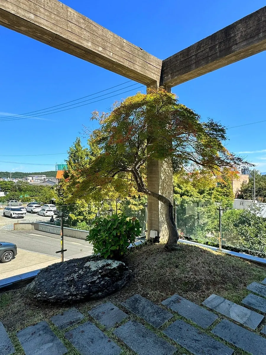 Green-decorated second-floor outdoor space