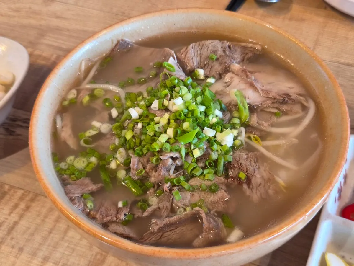 Bean sprouts and noodles lifted together from the brisket pho