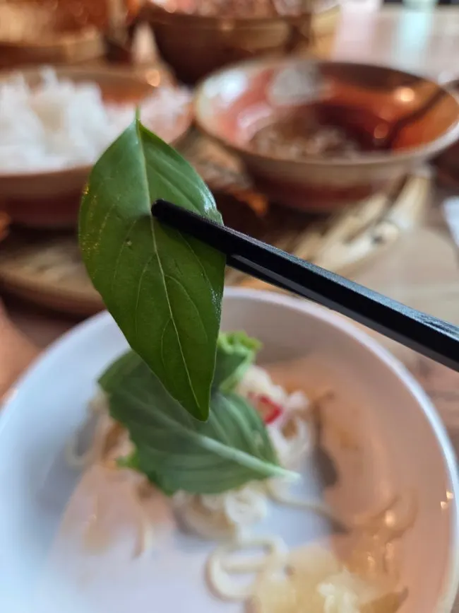 Bun cha noodles served with vegetables and basil leaves