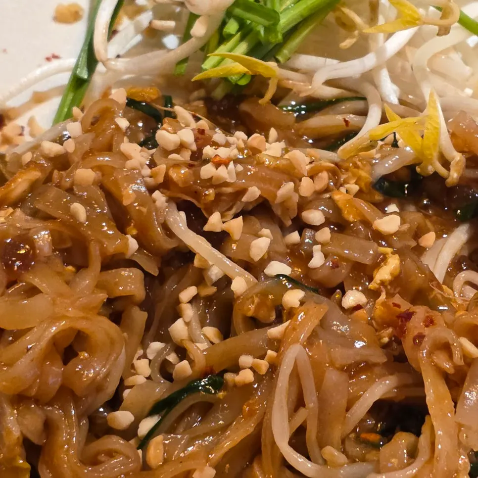 Pad thai noodles with sauce soaked in, served with bean sprouts