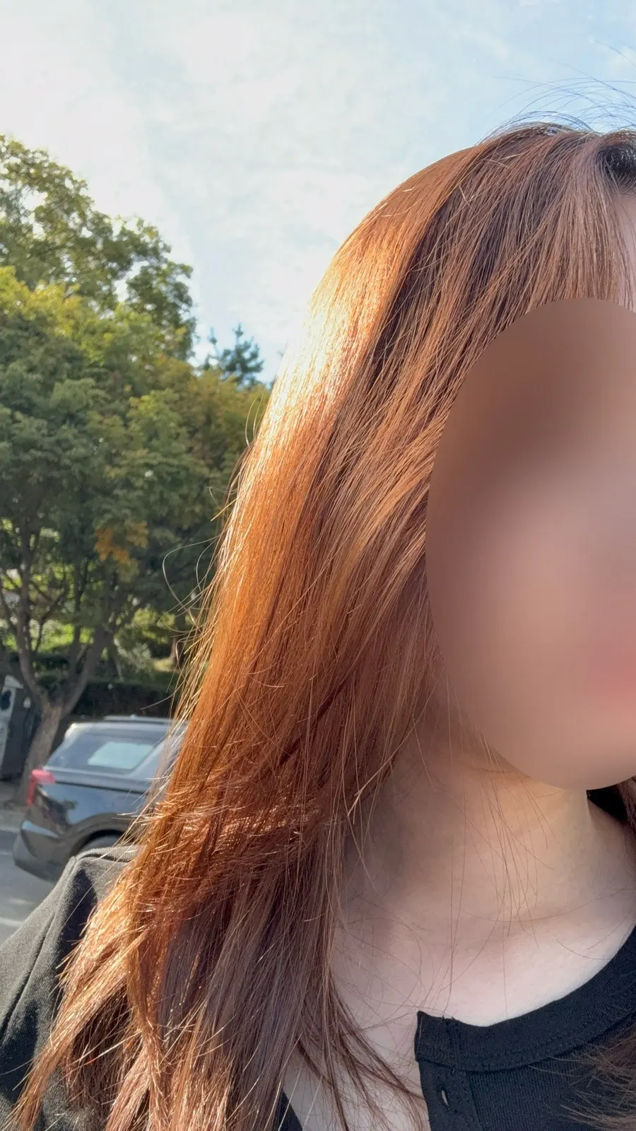 오렌지빛이 남은 시술 전 모발 상태