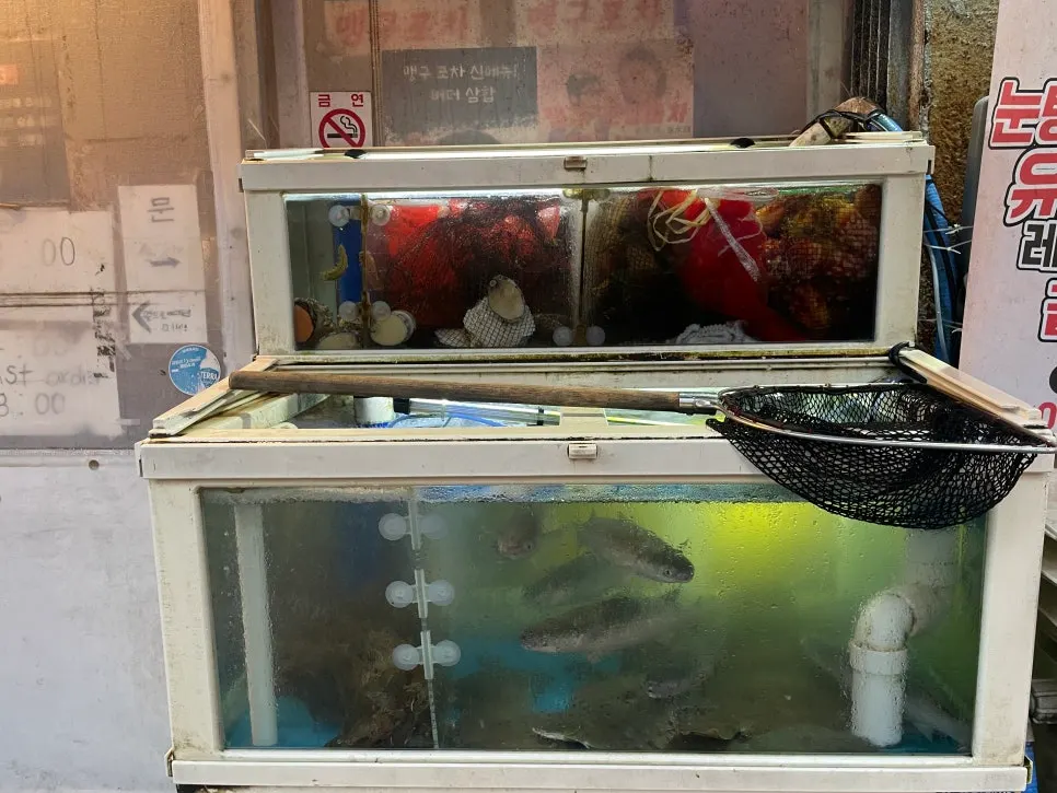 가게 앞 수족관 속 활어와 해산물