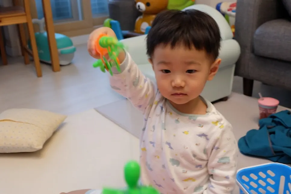 과일과 채소 모형 낚시감 사진