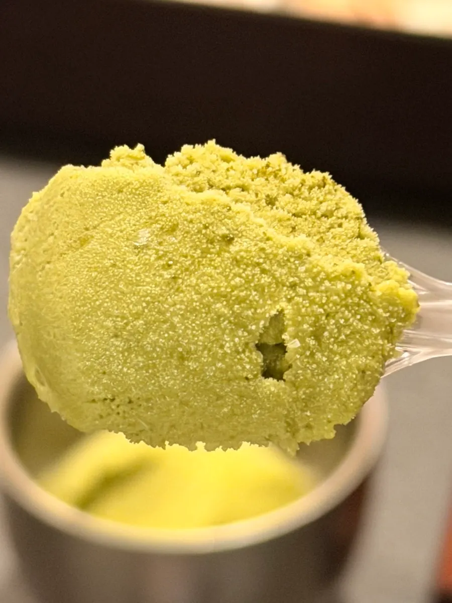 Green tea ice cream dusted with matcha powder