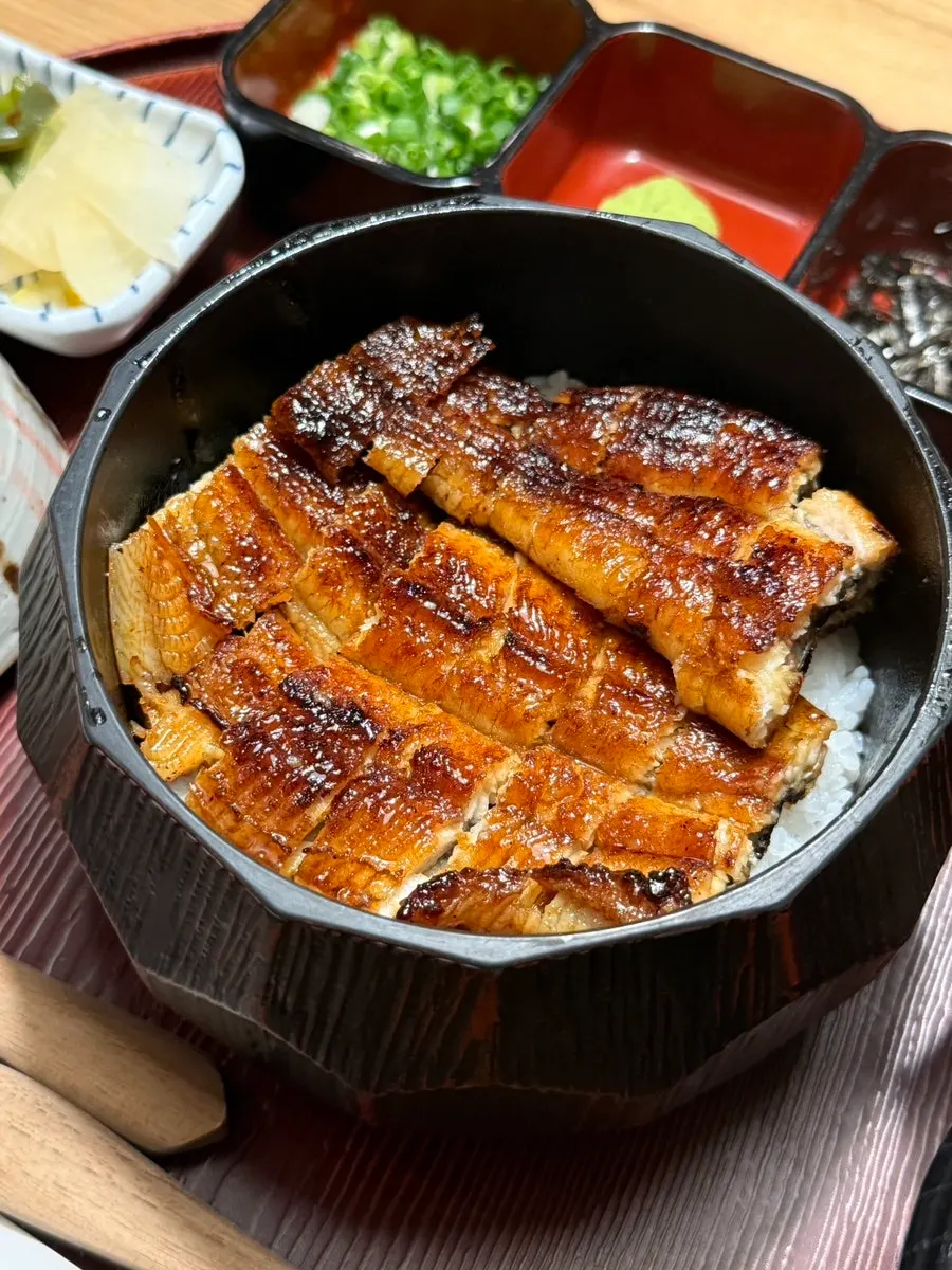 Close-up of freshwater eel well-coated in sauce