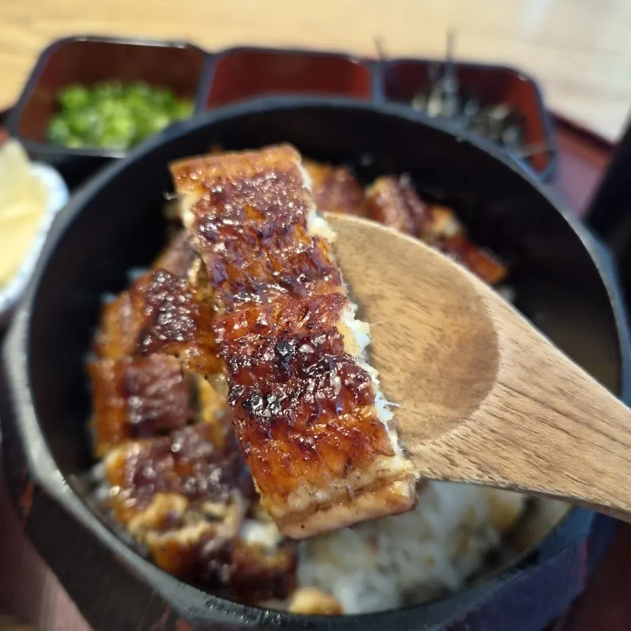 Close-up of thick charcoal-grilled eel