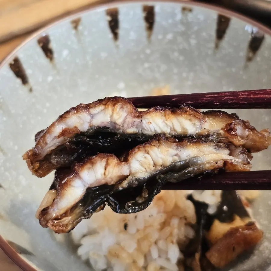 아무것도 넣지 않은 장어와 밥 한 그릇