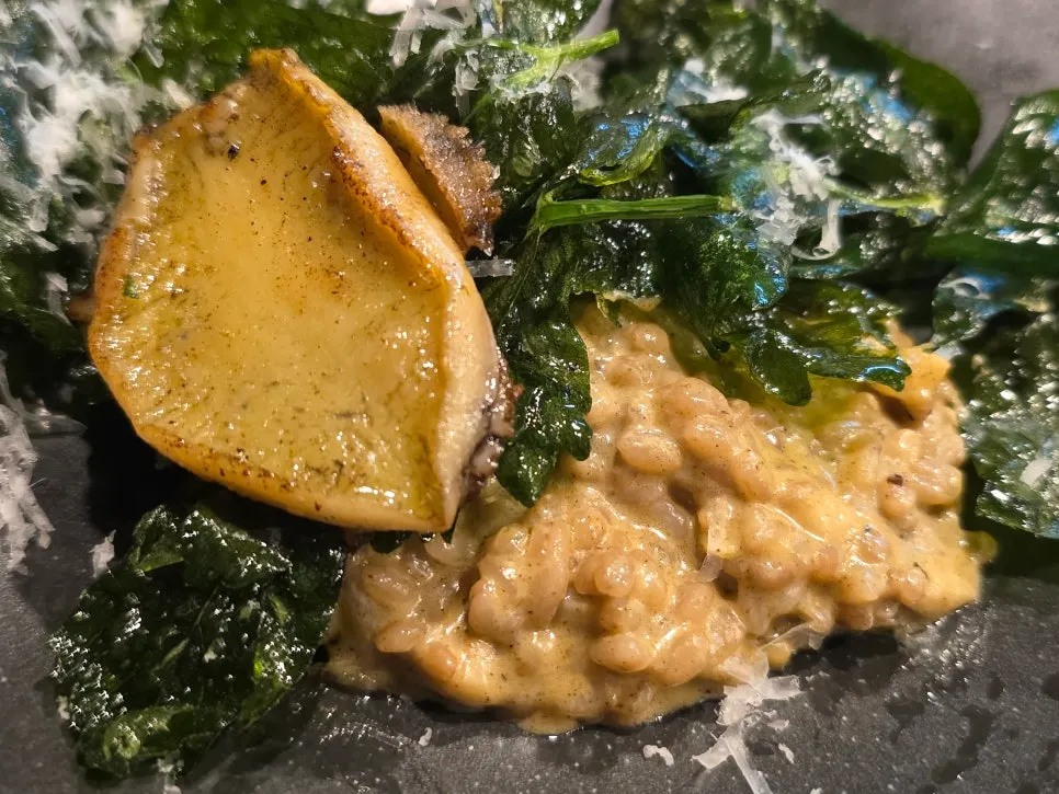 Close-up of abalone innard sauce risotto