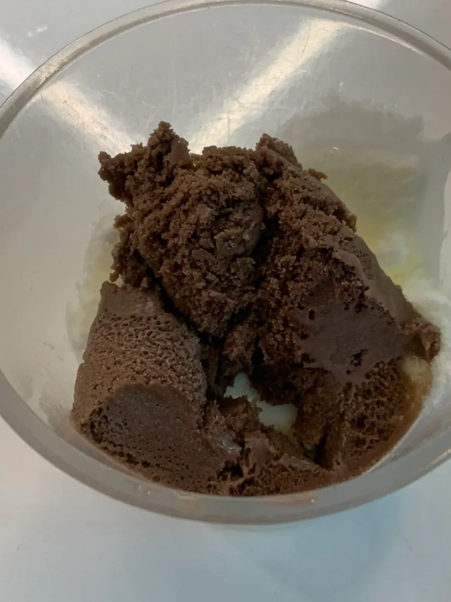 후식으로 담은 아이스크림