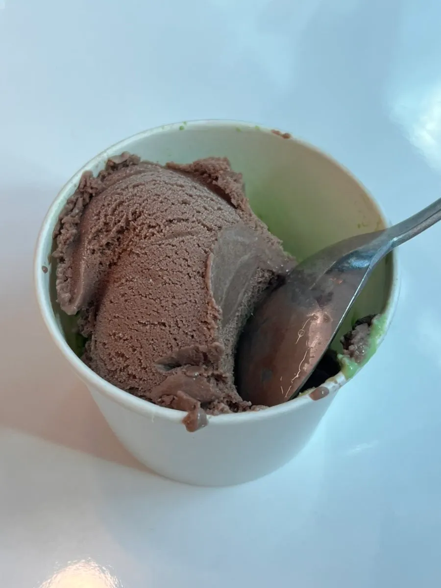 Green tea ice cream enjoyed for dessert
