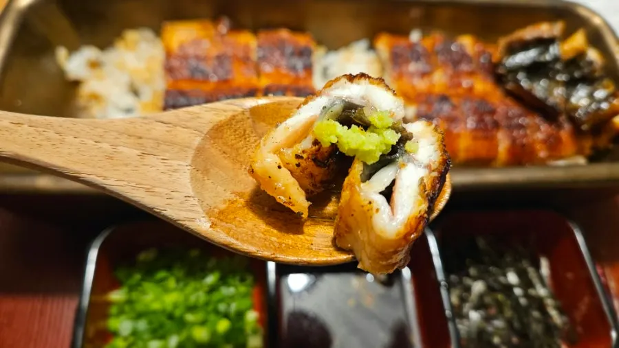 Eel and rice with toppings