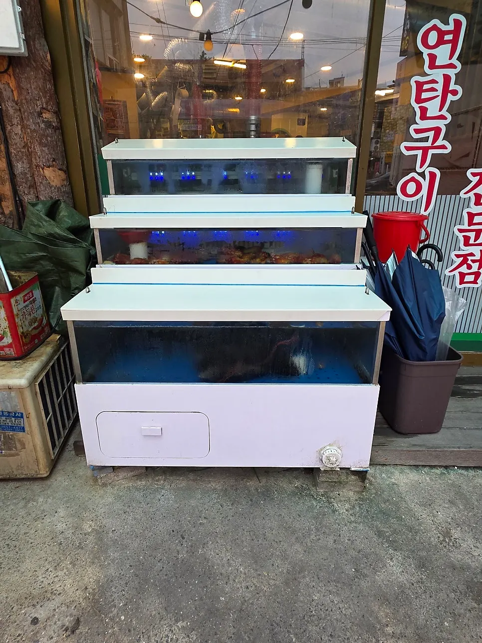 매장 앞 해산물 수조