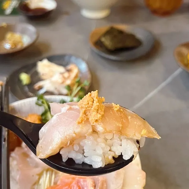 A piece of salmon placed on rice