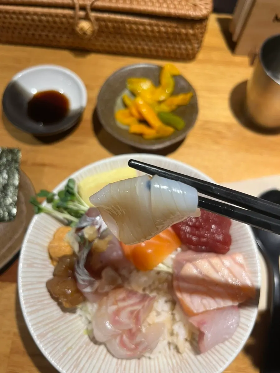 Two types of salmon, raw and torched