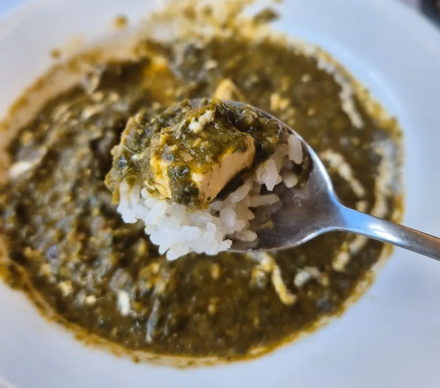 Spinach curry with large chunks of paneer cheese