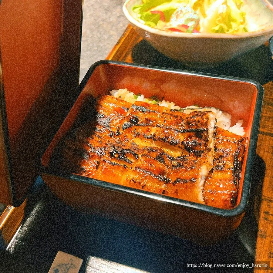 Half portion of eel served over rice
