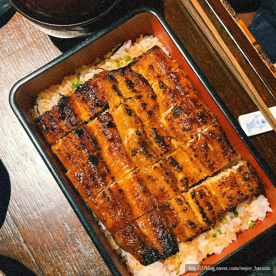 Close-up of the whole portion eel rice bowl