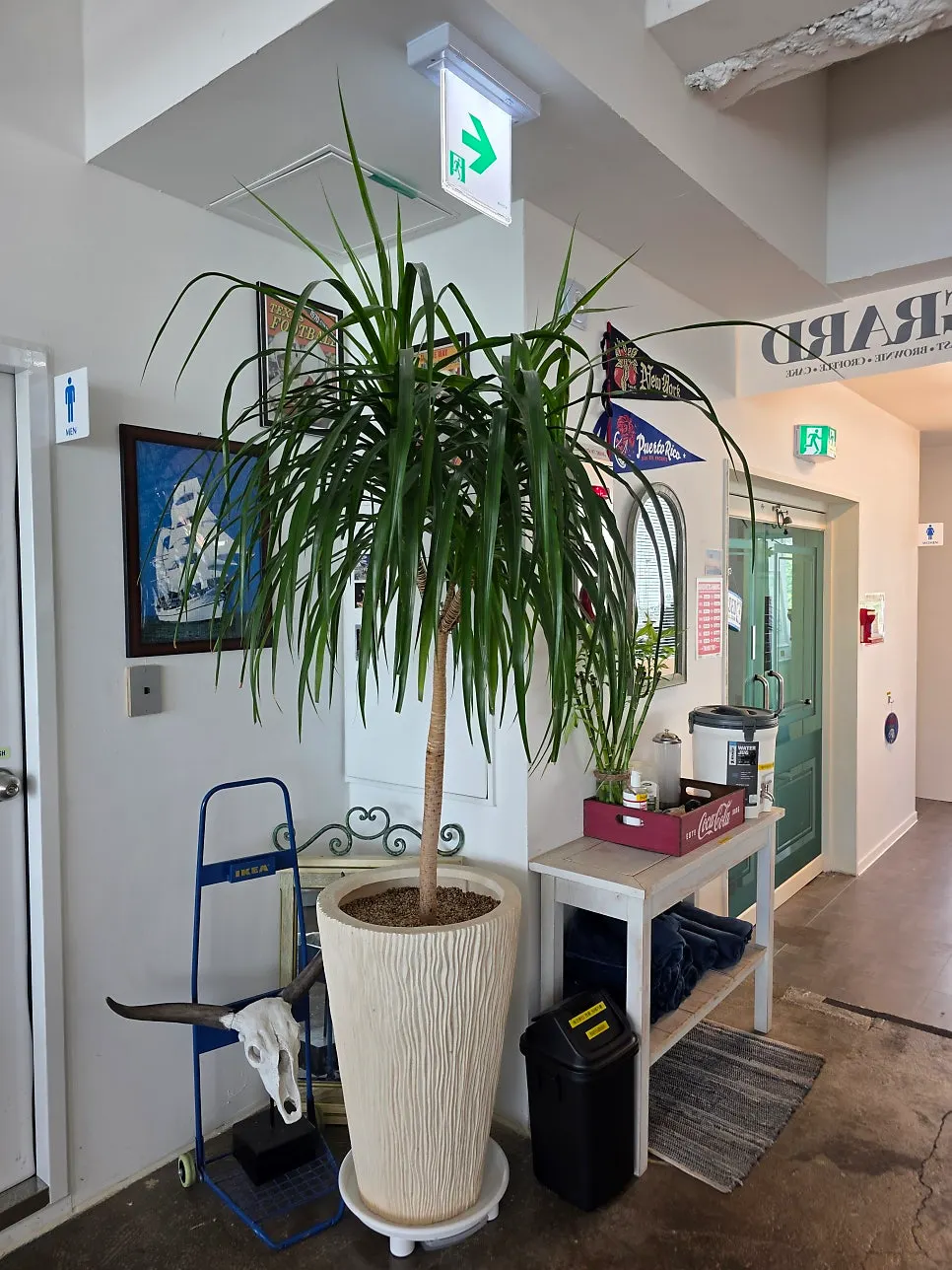 Separate men’s and women’s restrooms inside the café