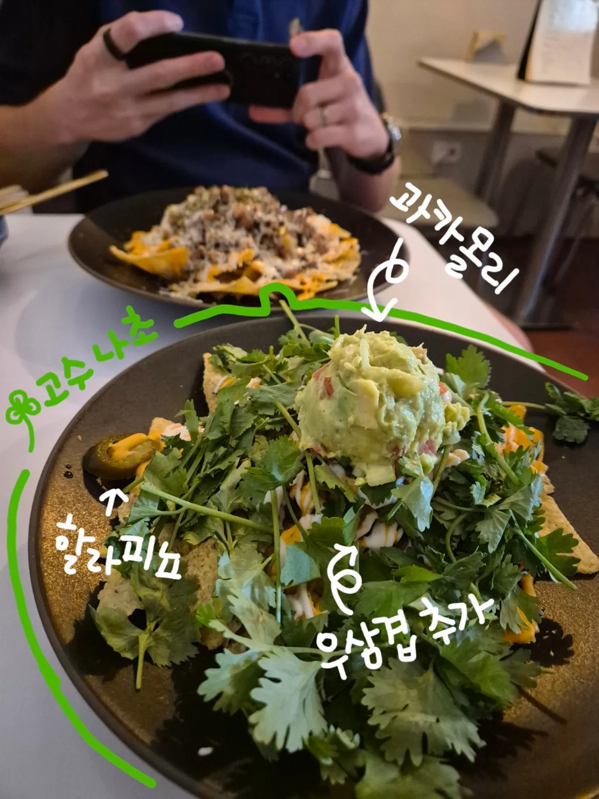 A plate of Macho Nacho's cilantro nachos with brisket added