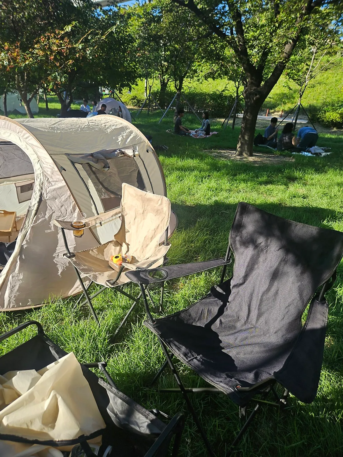 Completed camping-picnic spot with tent, mat, and camping chairs
