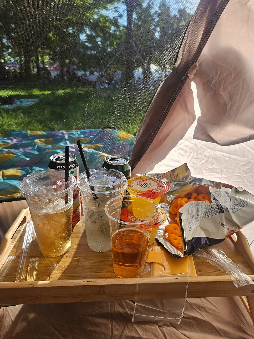 Picnic spot at Mangwon Han River Park fully set up with rented gear
