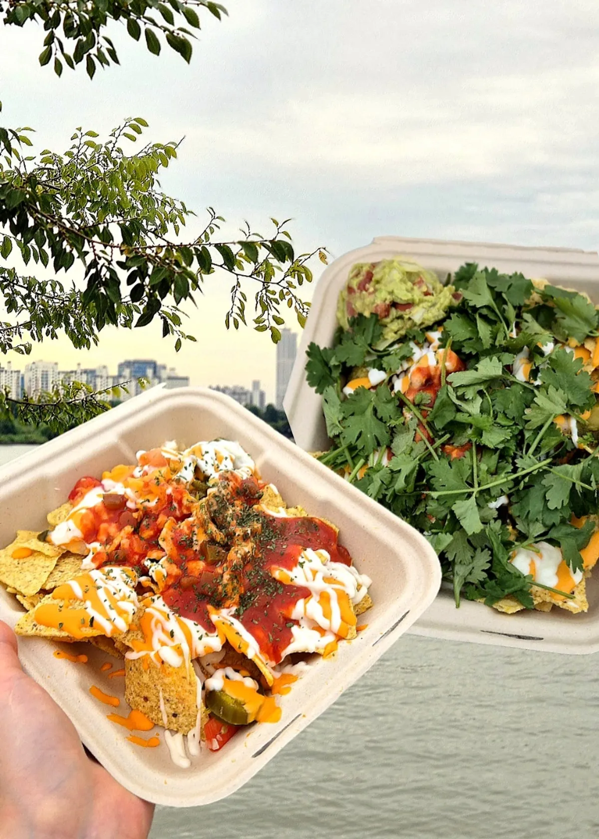 Nachos taken out from Macho Nacho in Mangwon-dong