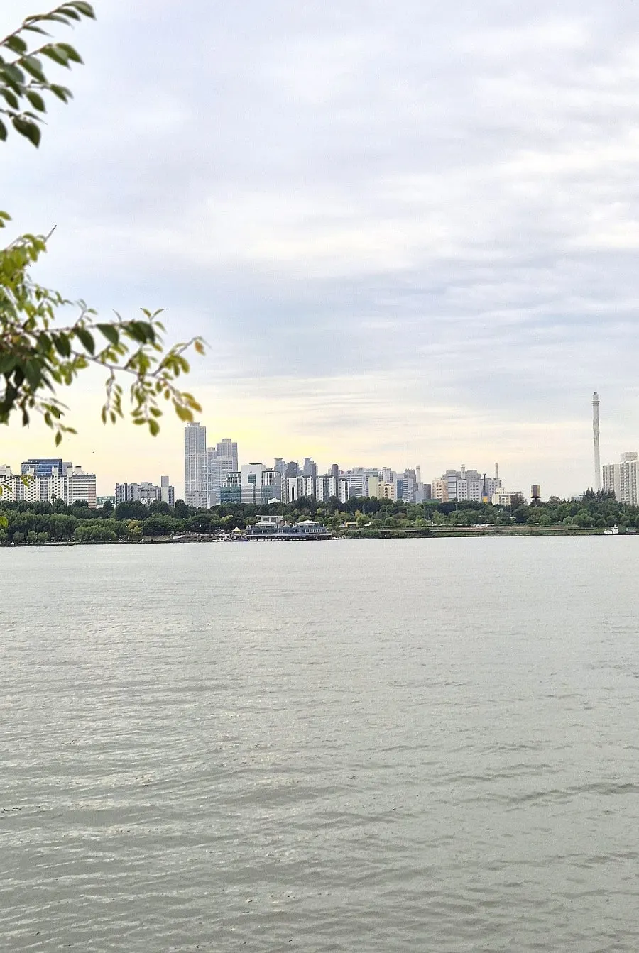 Two takeout nacho orders spread out at Mangwon Hangang Park