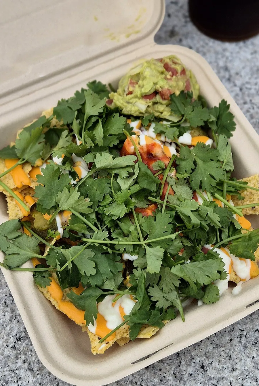 Cilantro nacho topped with cilantro, salsa, and guacamole