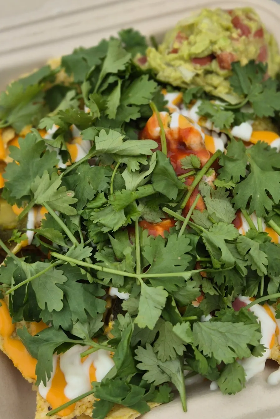 Close-up of the topping-packed cilantro nacho