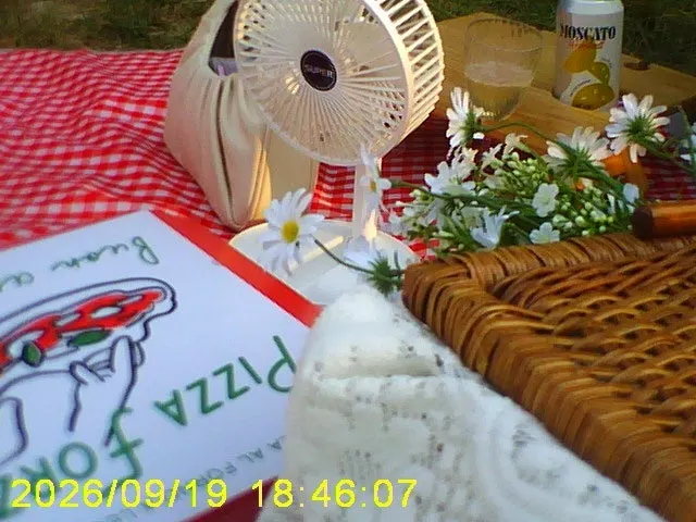 Picnic spot on the green grass