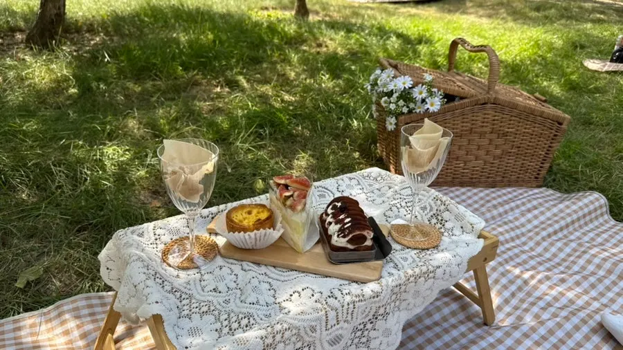 Overall view of the picnic set including garlands and lights
