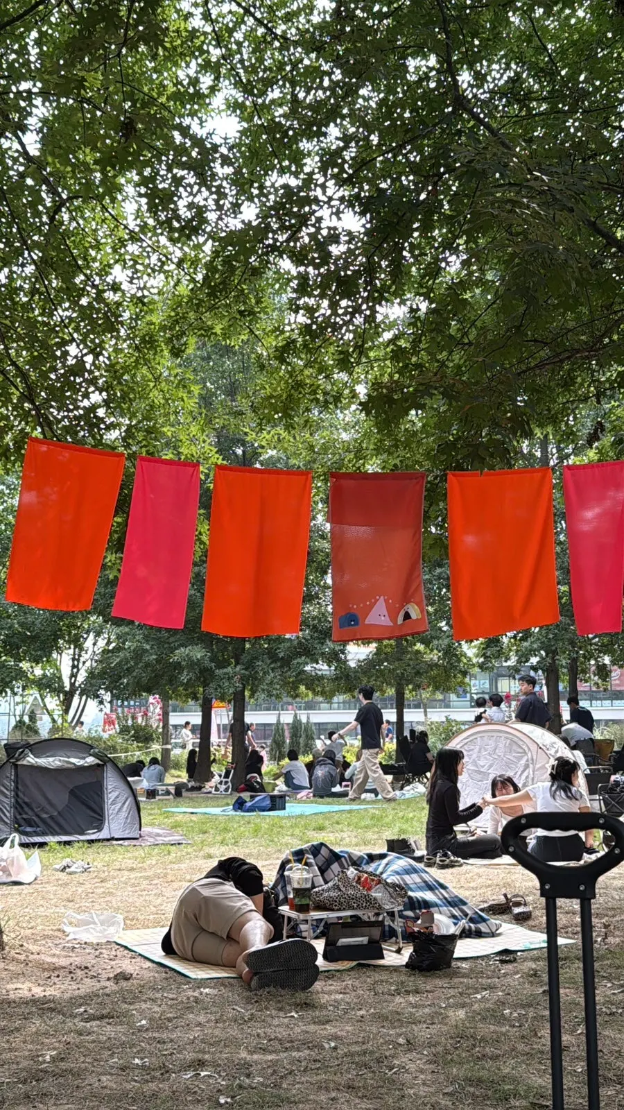 Full view of the rented one-touch tent