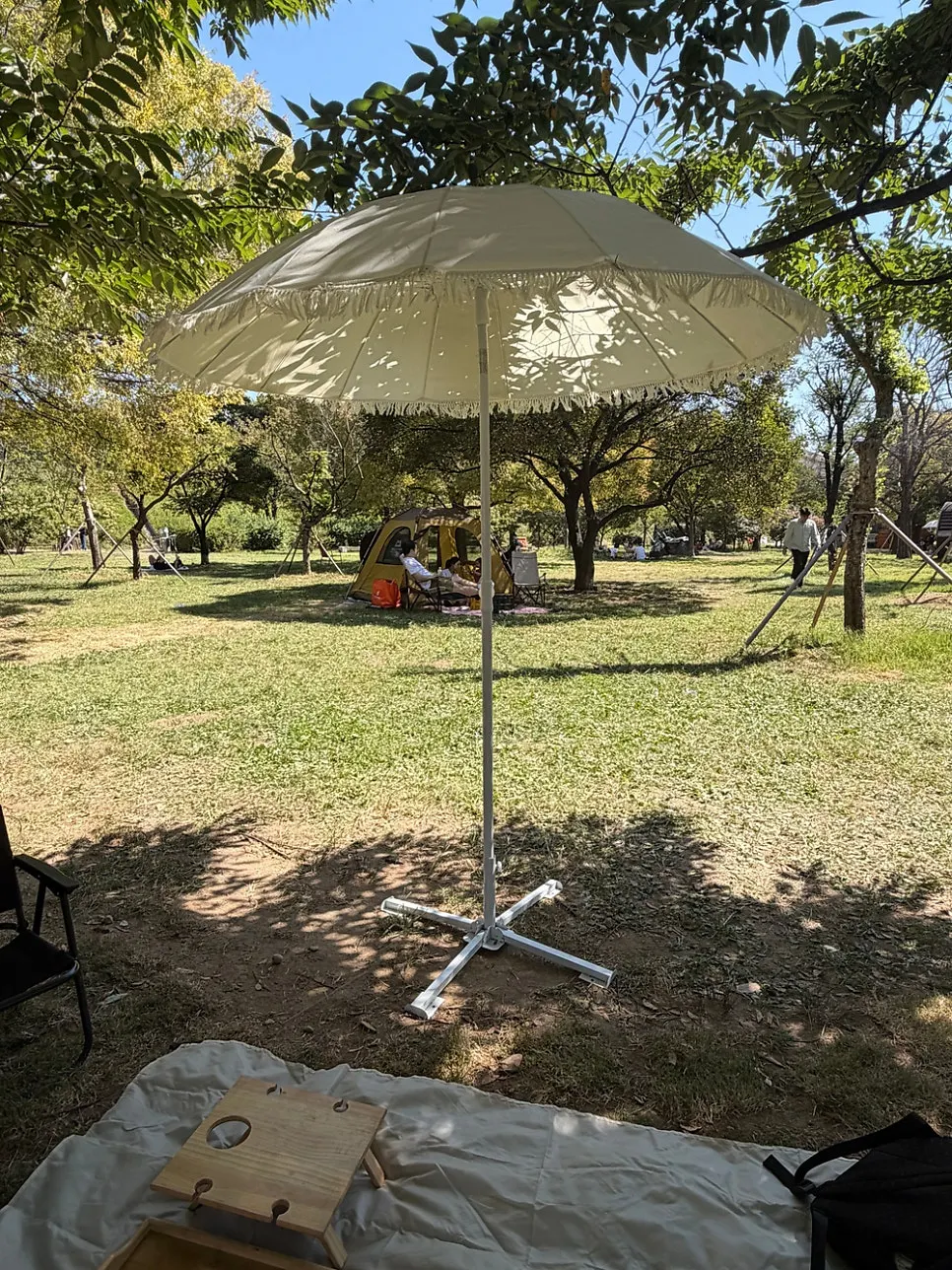 Lawn in the designated picnic zone at Mangwon Han River Park