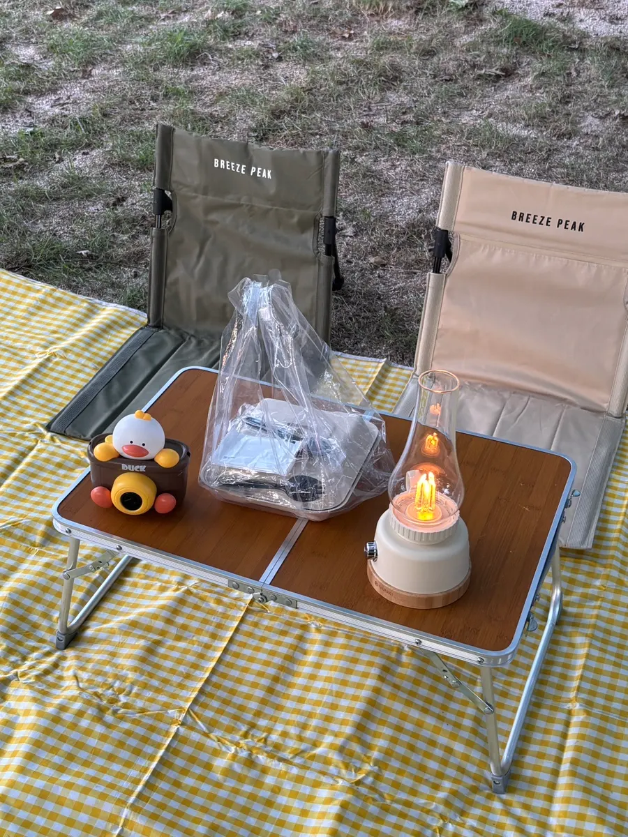 Ghế tựa lưng có trong bộ đồ picnic thuê
