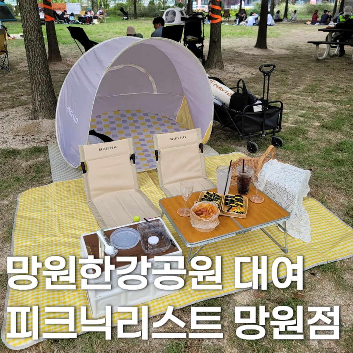 망원 한강공원 피크닉 대표 사진
