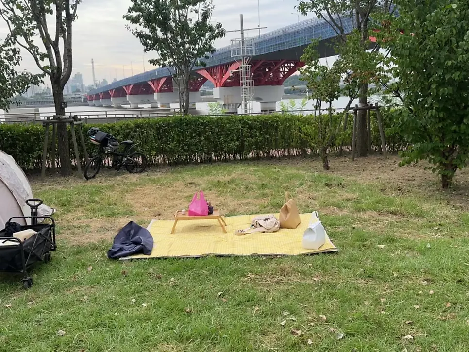 Crowded lawn at Mangwon Han River Park on a weekend afternoon