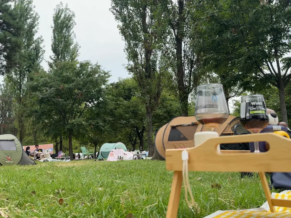 Lying on the mat and relaxing during the Han River picnic
