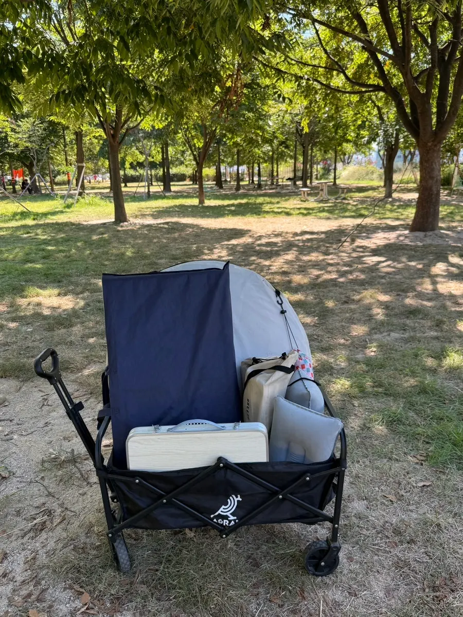 Shaded shade-zone area under trees at Mangwon Hangang Park