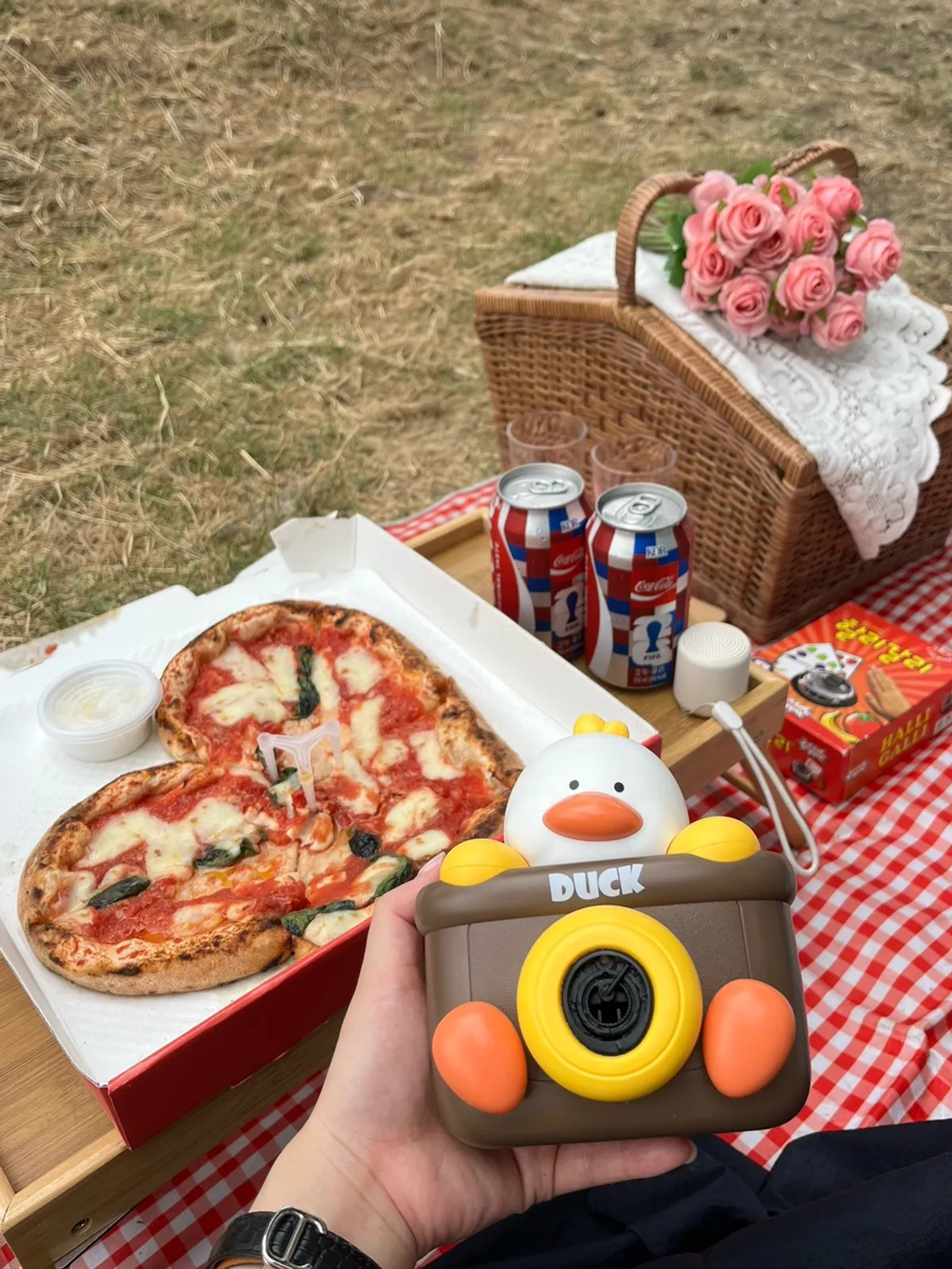 Red check picnic blanket set up on the grass at Mangwon Han River Park