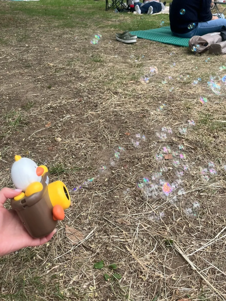 Blowing bubbles during a picnic on the grass by the Han River